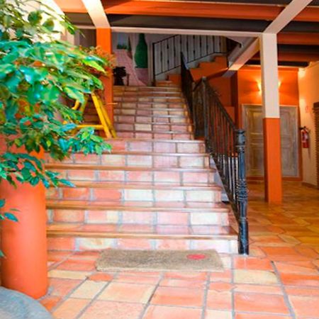 Apartamentos Senorio De Haro 3000 Ngoại thất bức ảnh